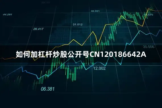 如何加杠杆炒股公开号CN120186642A